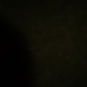 Meet your Posher, Chase